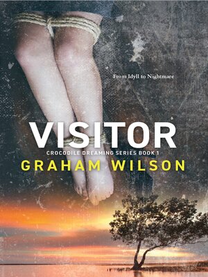 cover image of Visitor